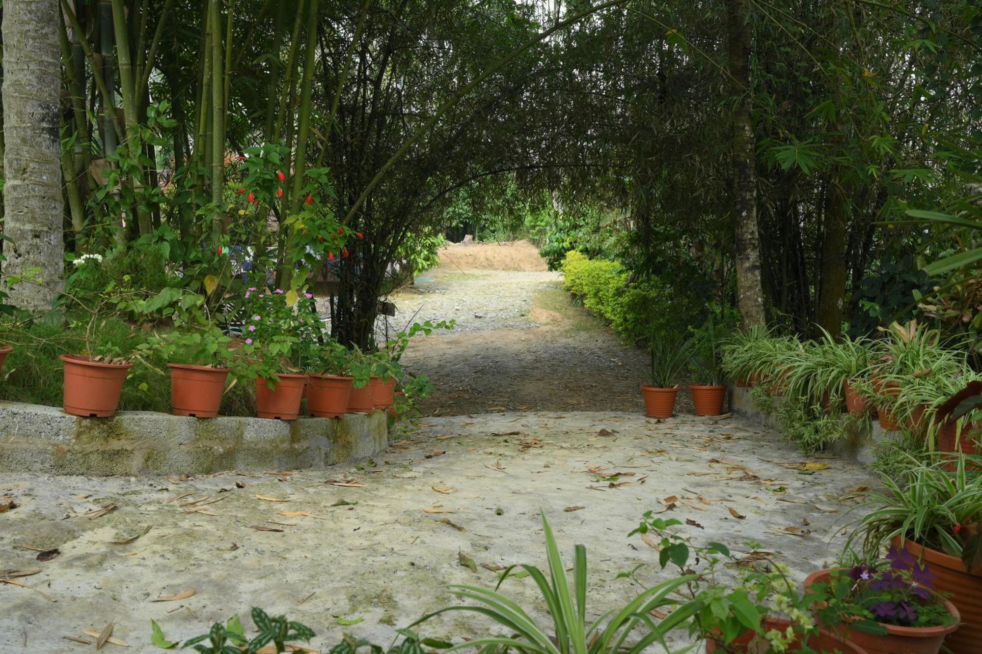 Coffee Island Resort Kaniyambetta Exterior photo